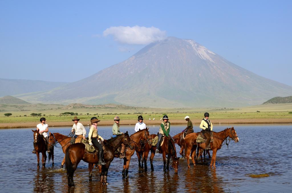 Kili Villa Kilimanjaro Luxury Retreat Arusha Eksteriør bilde